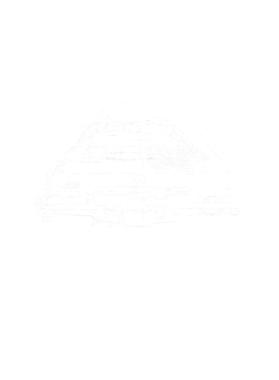 https://s3.us-west-1.wasabisys.com/ecart-content/cargeektees.com/overlays/270/226/27022626.png img