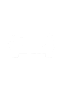 https://s3.us-west-1.wasabisys.com/ecart-content/cargeektees.com/overlays/270/240/27024046.png img