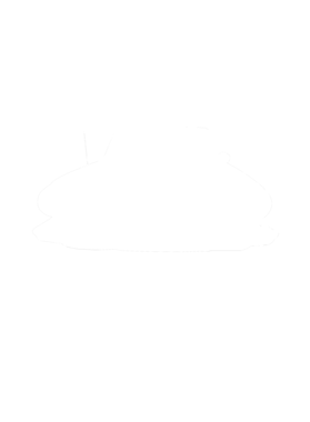 https://s3.us-west-1.wasabisys.com/ecart-content/cargeektees.com/overlays/280/962/28096289.png img