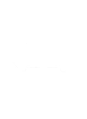 https://s3.us-west-1.wasabisys.com/ecart-content/cargeektees.com/overlays/281/282/28128238.png img