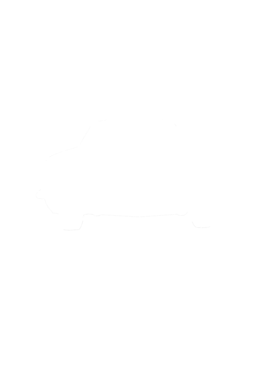 https://s3.us-west-1.wasabisys.com/ecart-content/cargeektees.com/overlays/281/282/28128240.png img