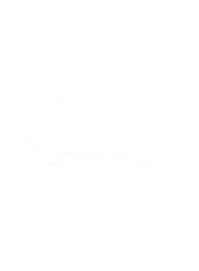 https://s3.us-west-1.wasabisys.com/ecart-content/cargeektees.com/overlays/281/282/28128246.png img