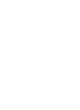 https://s3.us-west-1.wasabisys.com/ecart-content/cargeektees.com/overlays/281/282/28128254.png img