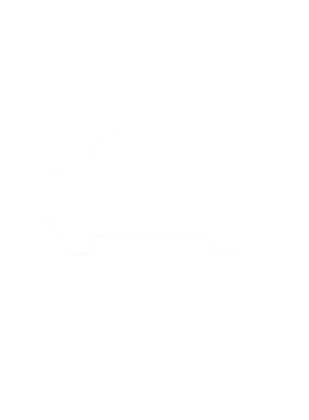 https://s3.us-west-1.wasabisys.com/ecart-content/cargeektees.com/overlays/281/283/28128310.png img