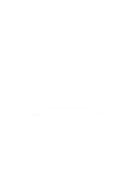 https://s3.us-west-1.wasabisys.com/ecart-content/cargeektees.com/overlays/281/283/28128311.png img