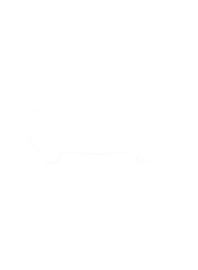 https://s3.us-west-1.wasabisys.com/ecart-content/cargeektees.com/overlays/281/283/28128315.png img