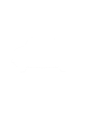 https://s3.us-west-1.wasabisys.com/ecart-content/cargeektees.com/overlays/281/283/28128317.png img