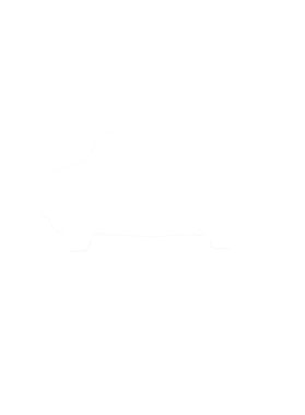 https://s3.us-west-1.wasabisys.com/ecart-content/cargeektees.com/overlays/281/283/28128329.png img