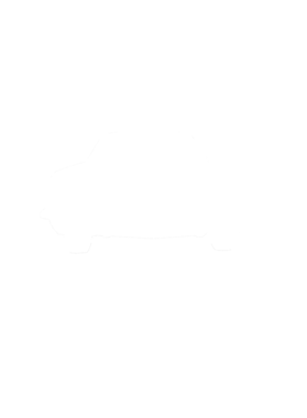 https://s3.us-west-1.wasabisys.com/ecart-content/cargeektees.com/overlays/281/283/28128334.png img