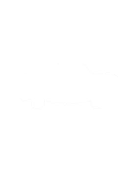 https://s3.us-west-1.wasabisys.com/ecart-content/cargeektees.com/overlays/281/330/28133074.png img