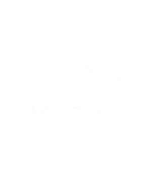 https://s3.us-west-1.wasabisys.com/ecart-content/cargeektees.com/overlays/281/330/28133082.png img