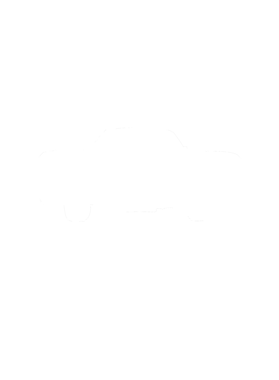 https://s3.us-west-1.wasabisys.com/ecart-content/cargeektees.com/overlays/281/330/28133083.png img