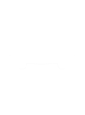 https://s3.us-west-1.wasabisys.com/ecart-content/cargeektees.com/overlays/281/370/28137035.png img