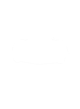 https://s3.us-west-1.wasabisys.com/ecart-content/cargeektees.com/overlays/281/380/28138032.png img
