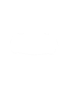 https://s3.us-west-1.wasabisys.com/ecart-content/cargeektees.com/overlays/281/380/28138037.png img