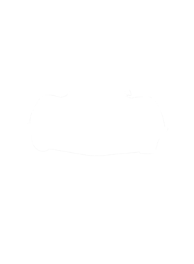 https://s3.us-west-1.wasabisys.com/ecart-content/cargeektees.com/overlays/281/380/28138039.png img