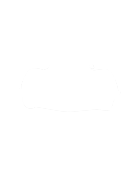 https://s3.us-west-1.wasabisys.com/ecart-content/cargeektees.com/overlays/281/380/28138041.png img
