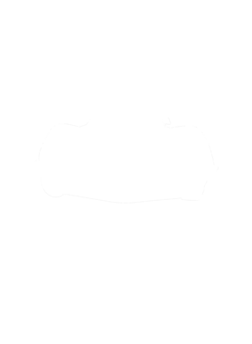 https://s3.us-west-1.wasabisys.com/ecart-content/cargeektees.com/overlays/281/380/28138048.png img