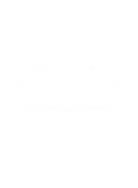 https://s3.us-west-1.wasabisys.com/ecart-content/cargeektees.com/overlays/281/380/28138050.png img