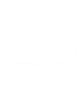 https://s3.us-west-1.wasabisys.com/ecart-content/cargeektees.com/overlays/281/383/28138327.png img