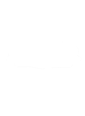 https://s3.us-west-1.wasabisys.com/ecart-content/cargeektees.com/overlays/281/383/28138338.png img