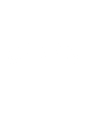 https://s3.us-west-1.wasabisys.com/ecart-content/cargeektees.com/overlays/286/248/2862484.png img