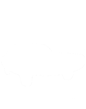https://s3.us-west-1.wasabisys.com/ecart-content/cargeektees.com/overlays/286/573/2865734.png img