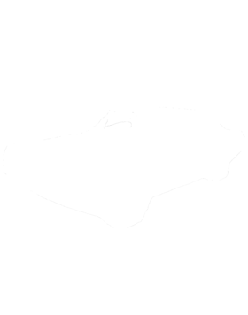 https://s3.us-west-1.wasabisys.com/ecart-content/cargeektees.com/overlays/286/576/2865761.png img