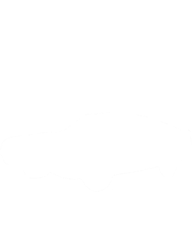 https://s3.us-west-1.wasabisys.com/ecart-content/cargeektees.com/overlays/286/616/2866166.png img