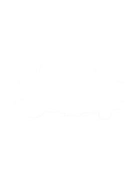 https://s3.us-west-1.wasabisys.com/ecart-content/cargeektees.com/overlays/286/629/28662977.png img