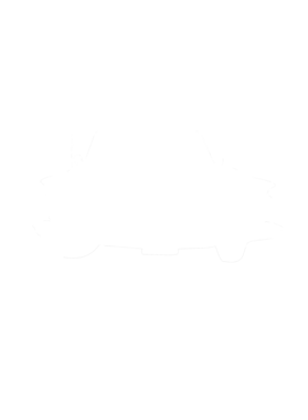 https://s3.us-west-1.wasabisys.com/ecart-content/cargeektees.com/overlays/286/629/28662985.png img