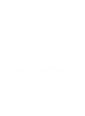 https://s3.us-west-1.wasabisys.com/ecart-content/cargeektees.com/overlays/286/629/28662990.png img
