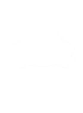 https://s3.us-west-1.wasabisys.com/ecart-content/cargeektees.com/overlays/286/630/28663000.png img