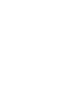 https://s3.us-west-1.wasabisys.com/ecart-content/cargeektees.com/overlays/286/630/28663002.png img