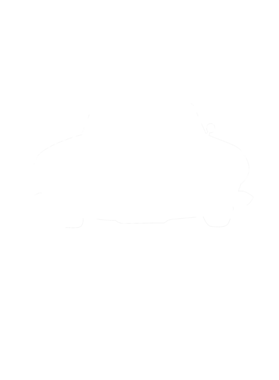 https://s3.us-west-1.wasabisys.com/ecart-content/cargeektees.com/overlays/286/630/28663003.png img