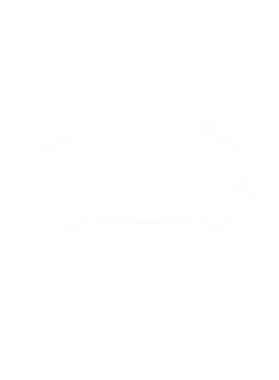 https://s3.us-west-1.wasabisys.com/ecart-content/cargeektees.com/overlays/286/630/28663004.png img