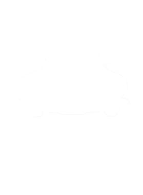 https://s3.us-west-1.wasabisys.com/ecart-content/cargeektees.com/overlays/286/630/28663006.png img