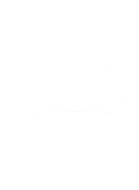 https://s3.us-west-1.wasabisys.com/ecart-content/cargeektees.com/overlays/286/630/28663007.png img