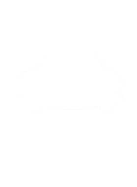 https://s3.us-west-1.wasabisys.com/ecart-content/cargeektees.com/overlays/286/630/28663010.png img