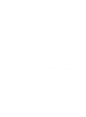 https://s3.us-west-1.wasabisys.com/ecart-content/cargeektees.com/overlays/286/630/28663011.png img
