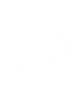 https://s3.us-west-1.wasabisys.com/ecart-content/cargeektees.com/overlays/286/630/28663013.png img