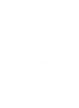 https://s3.us-west-1.wasabisys.com/ecart-content/cargeektees.com/overlays/286/630/28663014.png img