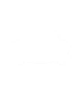 https://s3.us-west-1.wasabisys.com/ecart-content/cargeektees.com/overlays/286/630/28663016.png img