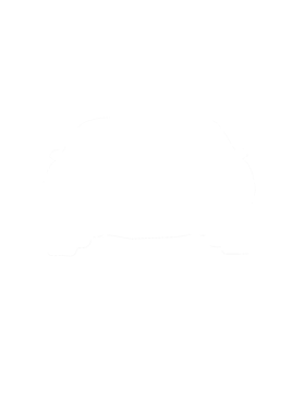 https://s3.us-west-1.wasabisys.com/ecart-content/cargeektees.com/overlays/286/643/28664357.png img