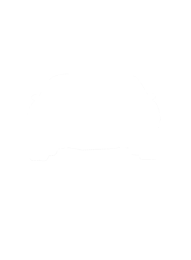 https://s3.us-west-1.wasabisys.com/ecart-content/cargeektees.com/overlays/286/643/28664359.png img