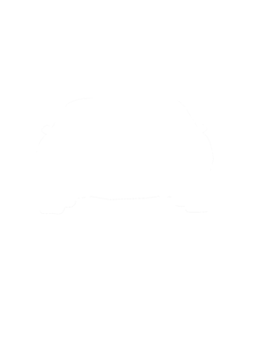 https://s3.us-west-1.wasabisys.com/ecart-content/cargeektees.com/overlays/286/643/28664362.png img