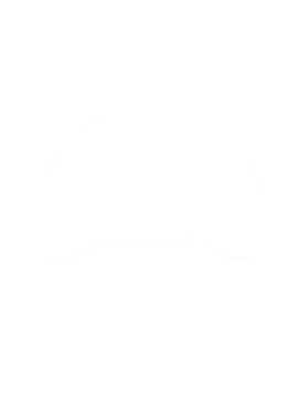 https://s3.us-west-1.wasabisys.com/ecart-content/cargeektees.com/overlays/286/643/28664363.png img