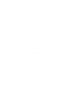 https://s3.us-west-1.wasabisys.com/ecart-content/cargeektees.com/overlays/286/643/28664364.png img
