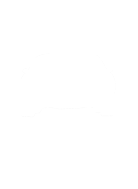 https://s3.us-west-1.wasabisys.com/ecart-content/cargeektees.com/overlays/286/643/28664366.png img