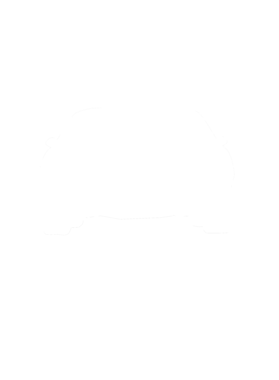 https://s3.us-west-1.wasabisys.com/ecart-content/cargeektees.com/overlays/286/643/28664367.png img